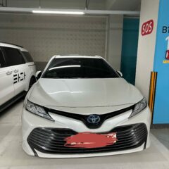 강남대로 주차 완전 압박감