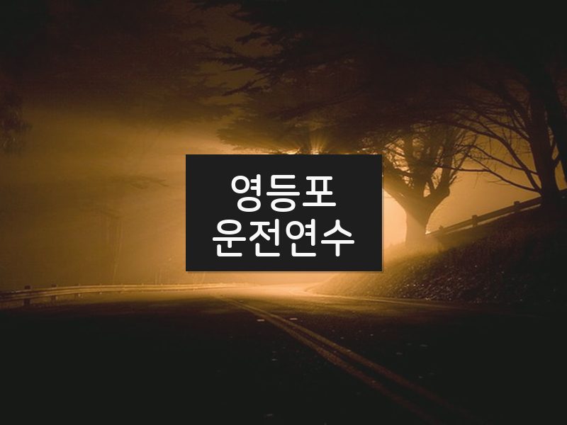 영등포운전연수 후기