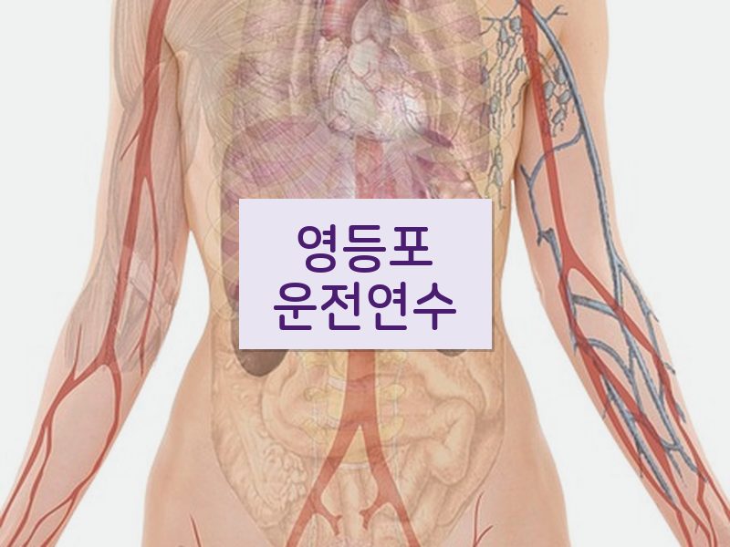 영등포운전연수 후기