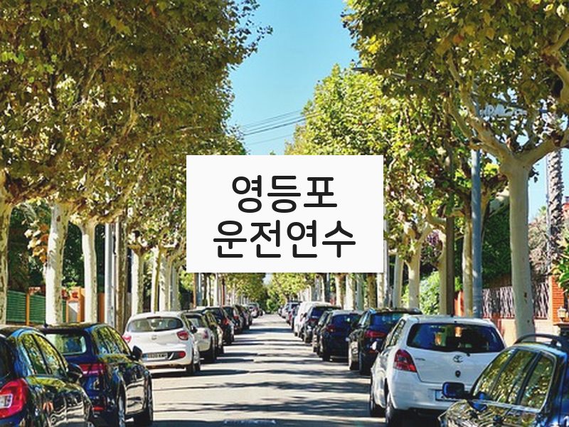 영등포운전연수 후기
