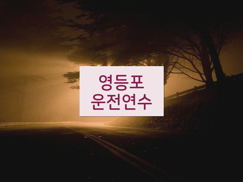 영등포운전연수 후기