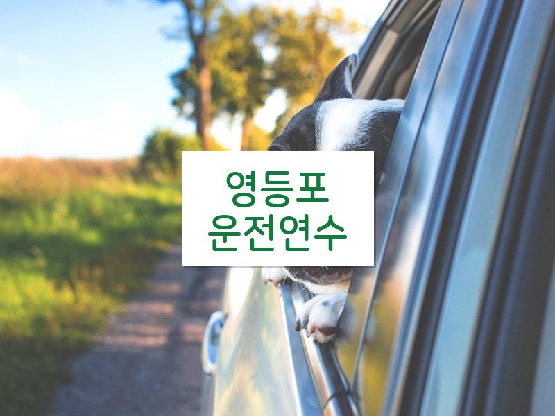 영등포운전연수 후기