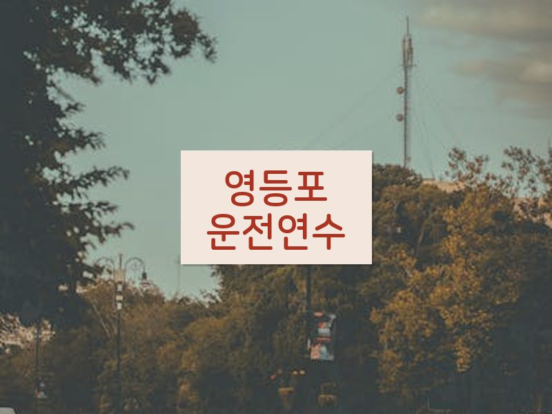 영등포운전연수 후기