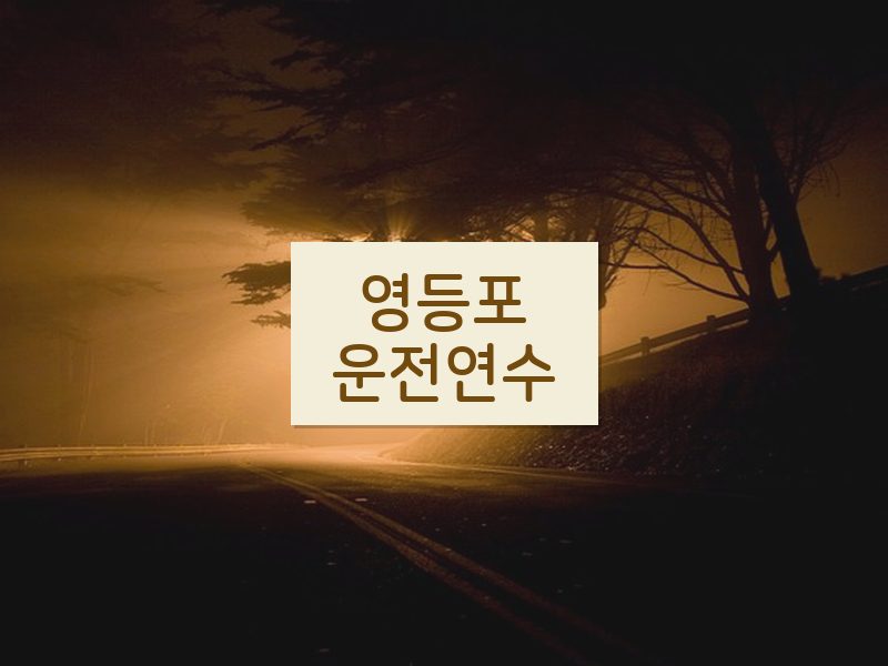 영등포운전연수 후기
