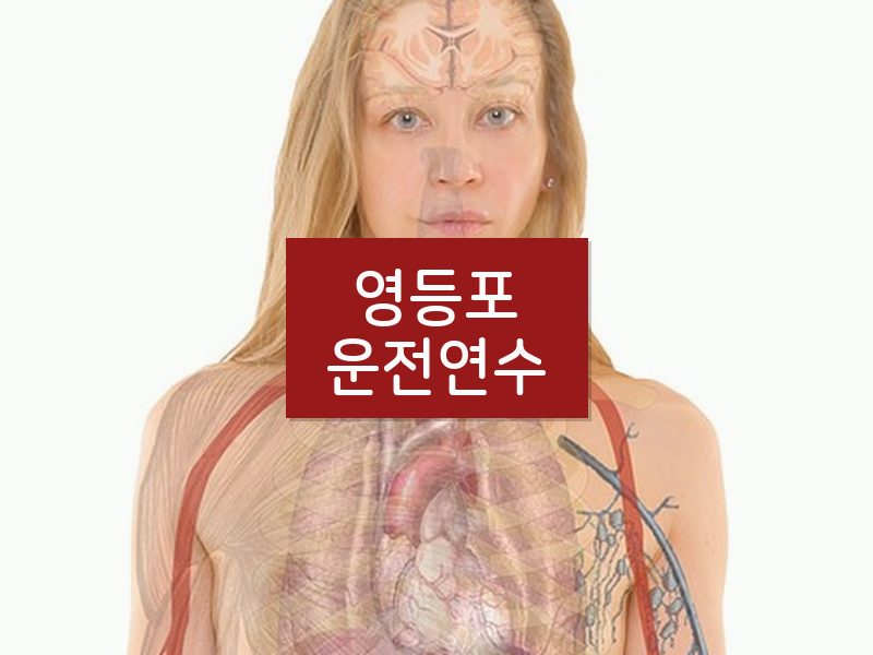 영등포운전연수 후기
