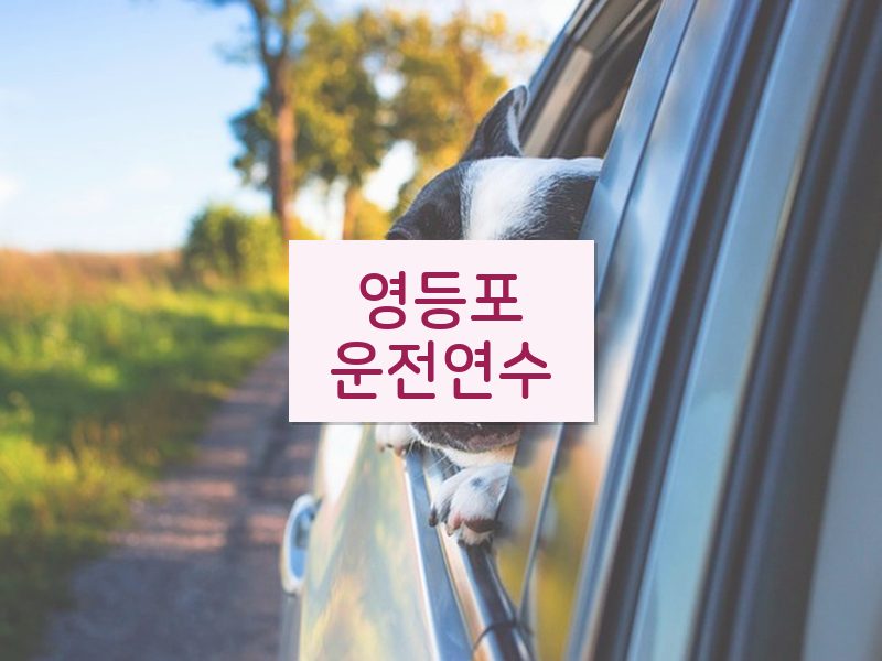 영등포운전연수 후기
