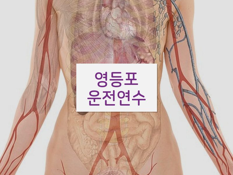 영등포운전연수 후기