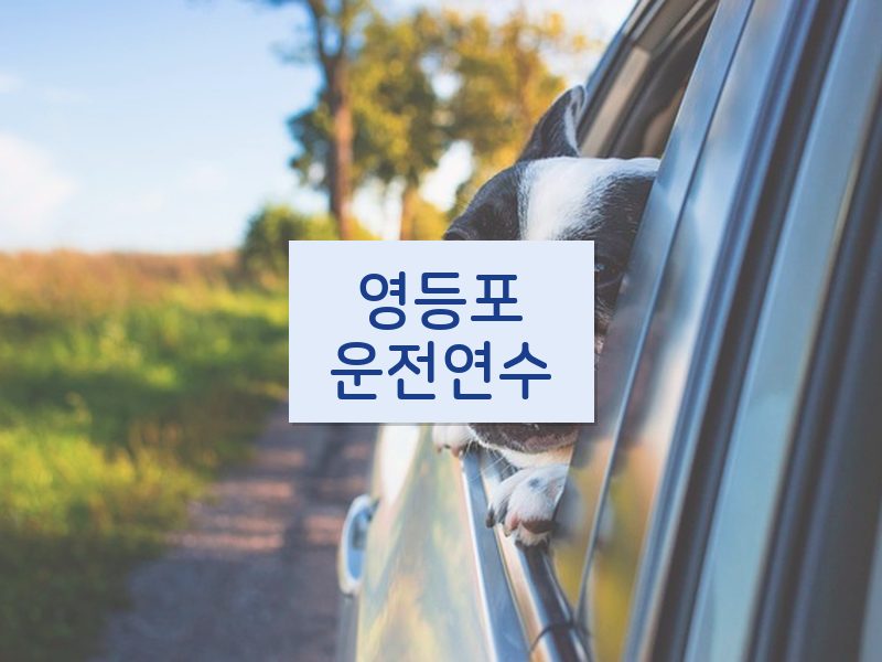 영등포운전연수 후기