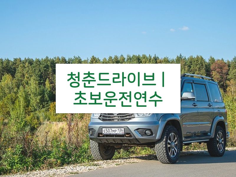 청춘드라이브 | 초보운전연수 후기