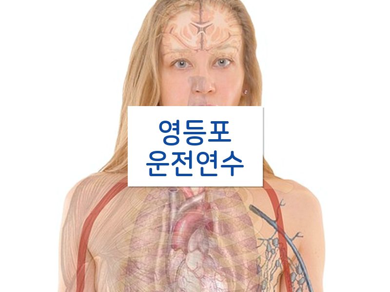 영등포운전연수 후기