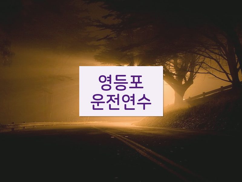 영등포운전연수 후기
