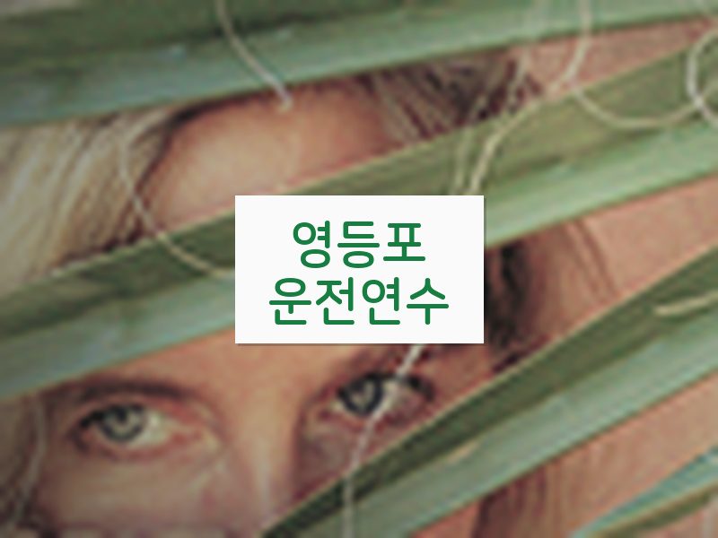영등포운전연수 후기