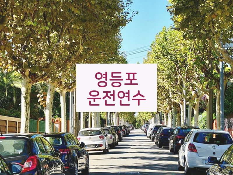 영등포운전연수 후기