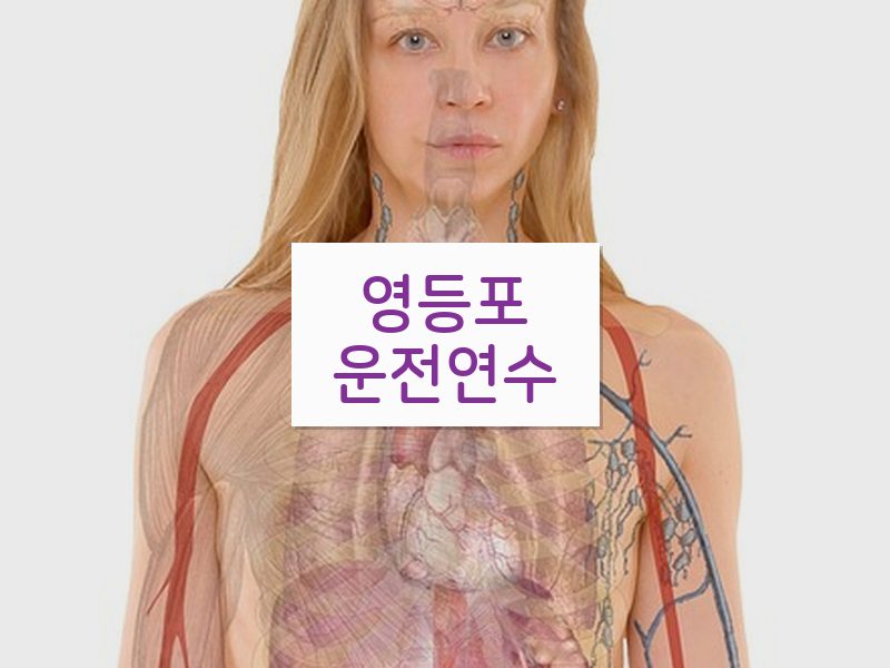 영등포운전연수 후기