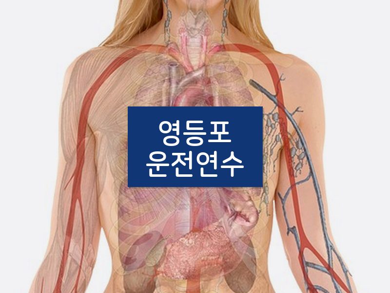 영등포운전연수 후기
