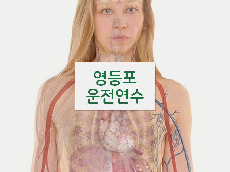 영등포운전연수 후기