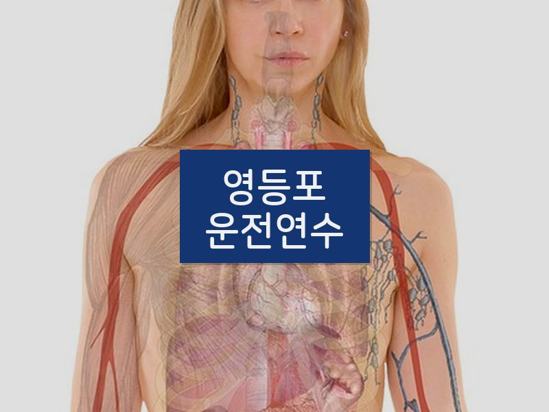 영등포운전연수 후기