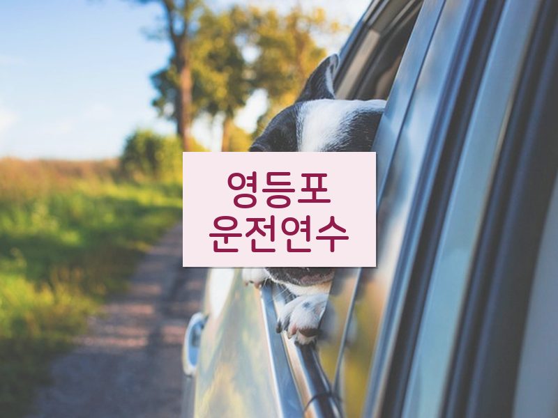 영등포운전연수 후기