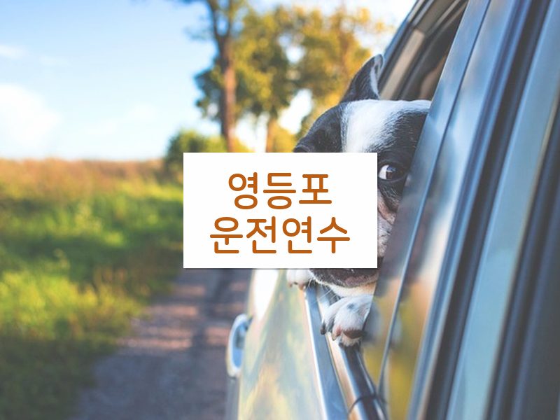 영등포운전연수 후기