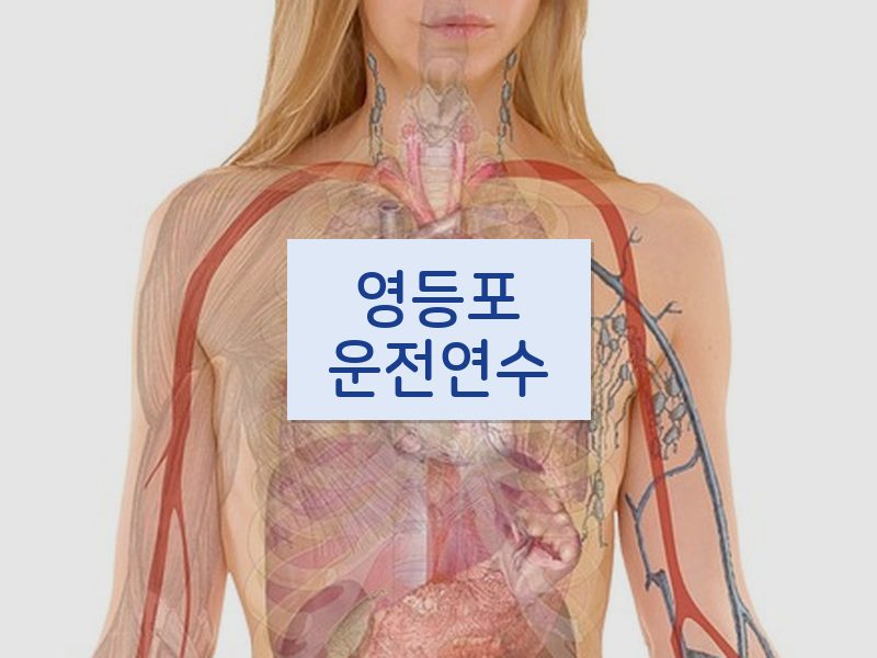 영등포운전연수 후기