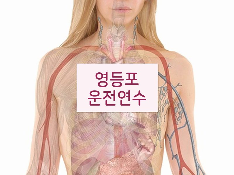 영등포운전연수 후기