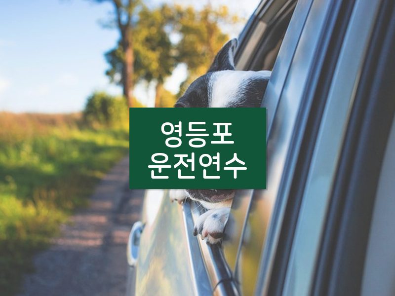 영등포운전연수 후기