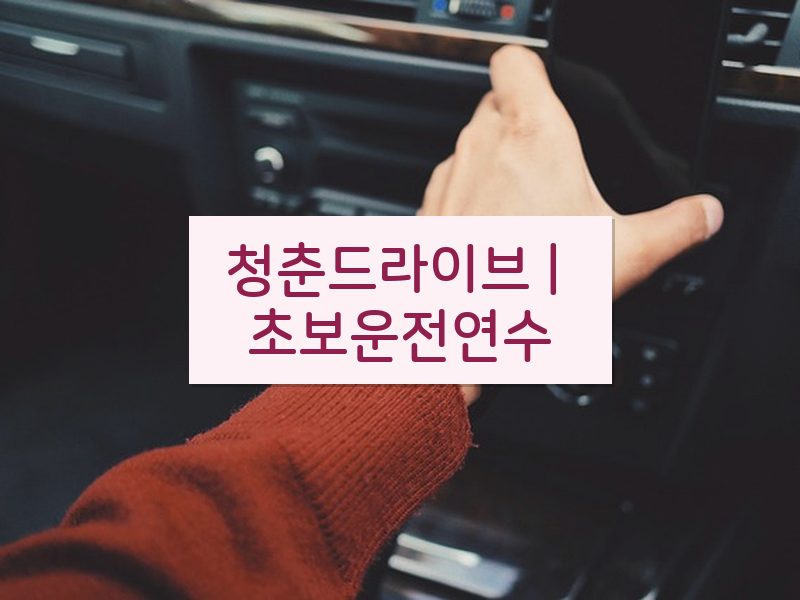 청춘드라이브 | 초보운전연수 후기