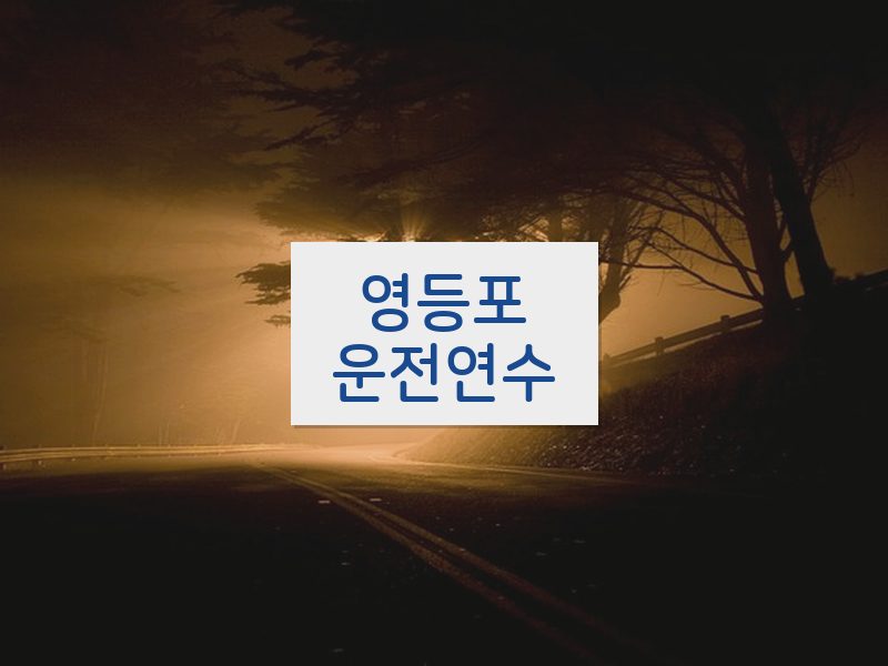 영등포운전연수 후기