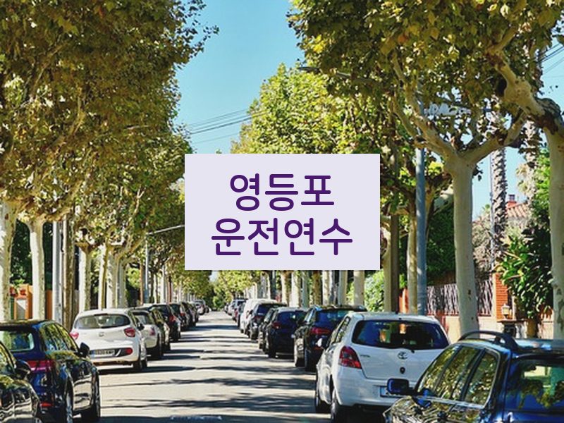 영등포운전연수 후기