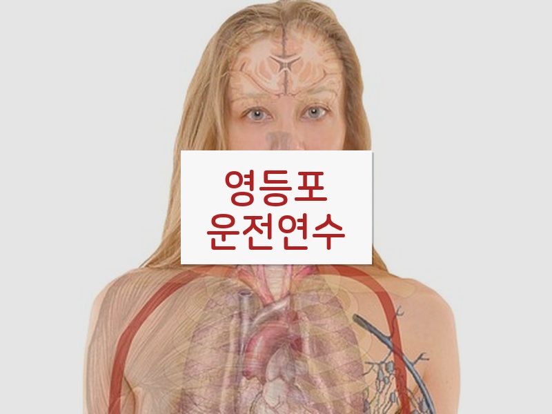 영등포운전연수 후기