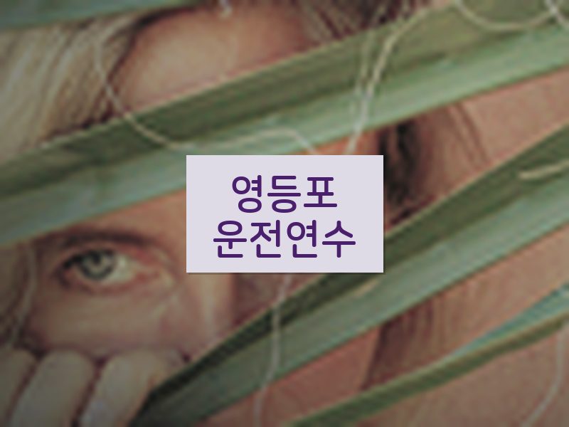 영등포운전연수 후기