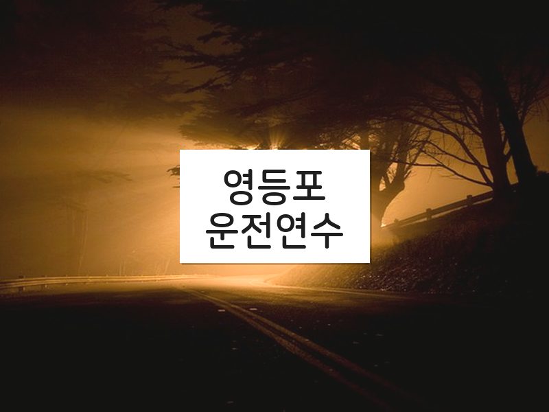 영등포운전연수 후기