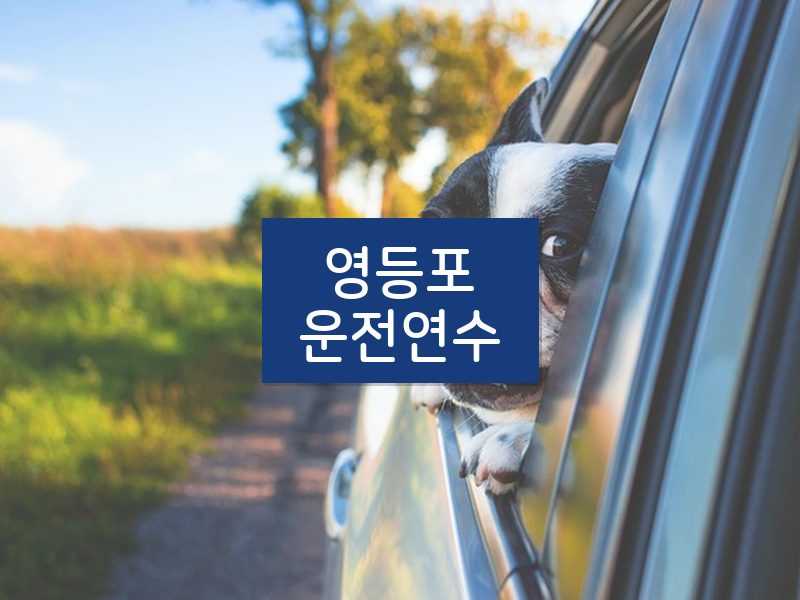 영등포운전연수 후기