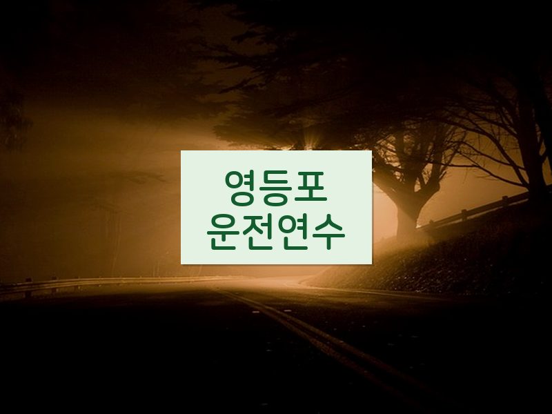 영등포운전연수 후기