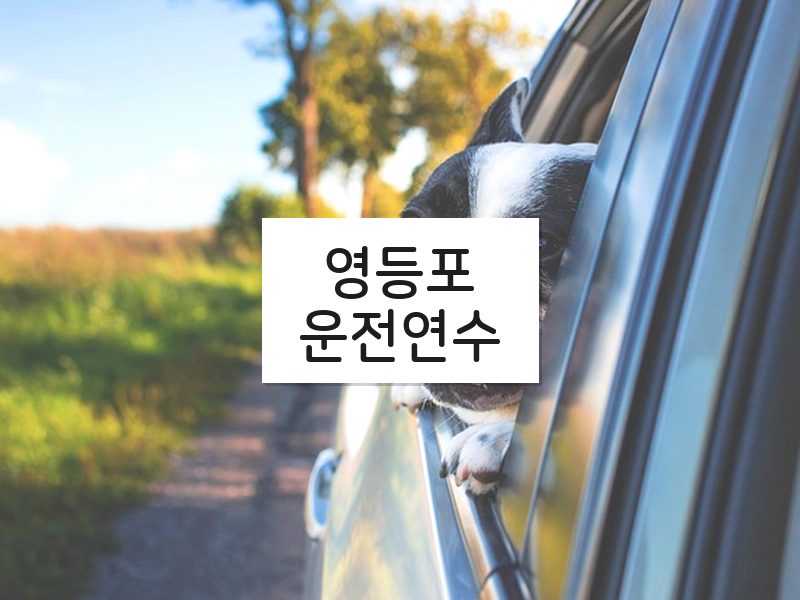 영등포운전연수 후기