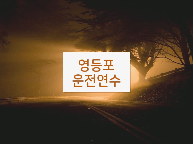 영등포운전연수 후기