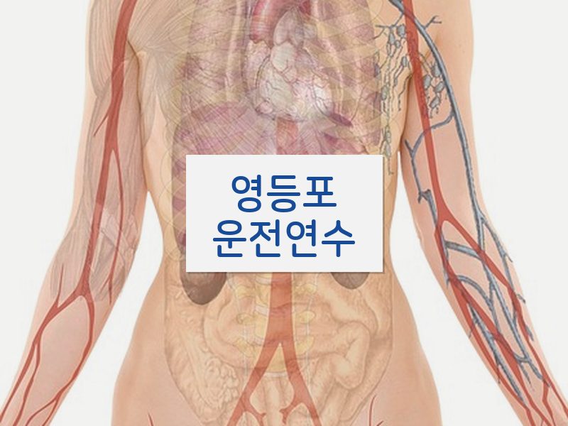 영등포운전연수 후기