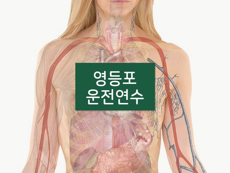 영등포운전연수 후기