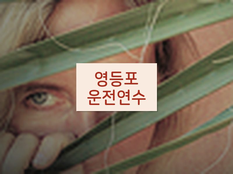 영등포운전연수 후기