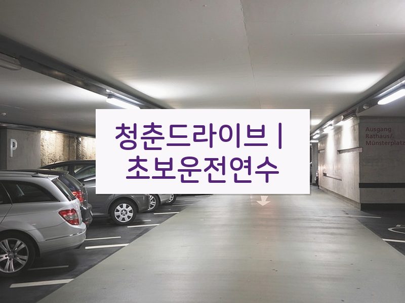 청춘드라이브 | 초보운전연수 후기
