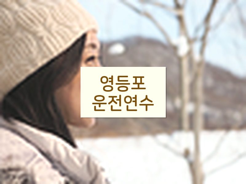 영등포운전연수 후기