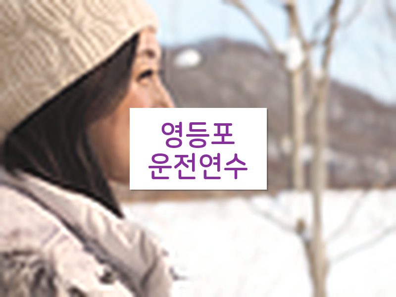 영등포운전연수 후기