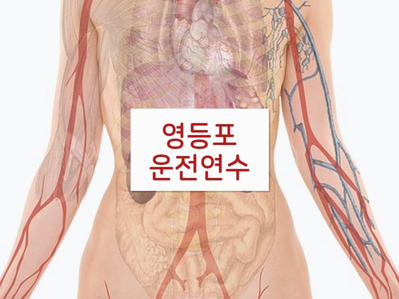 영등포운전연수 후기