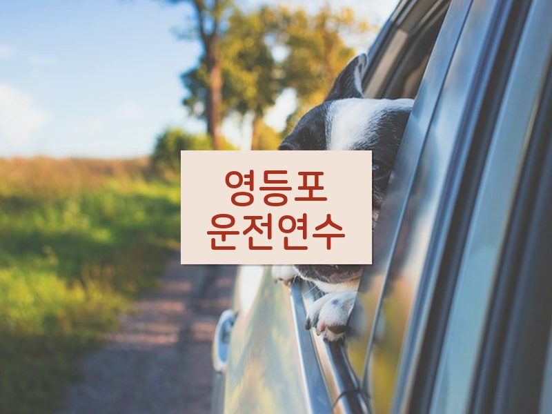 영등포운전연수 후기