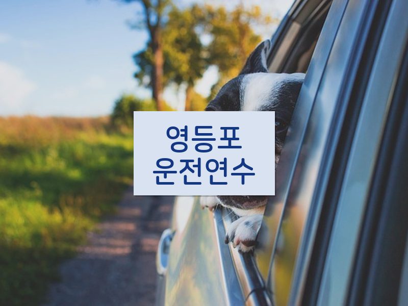 영등포운전연수 후기
