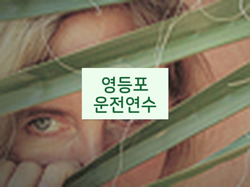영등포운전연수 후기