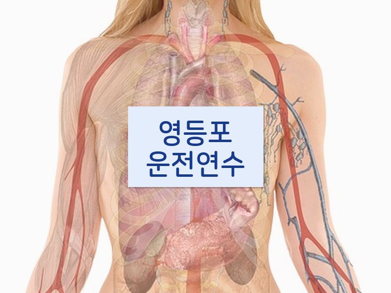 영등포운전연수 후기