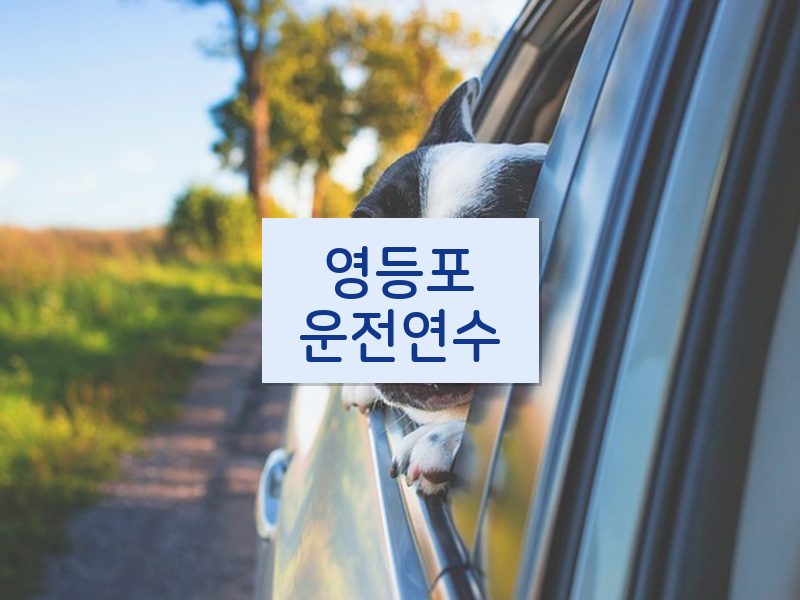 영등포운전연수 후기