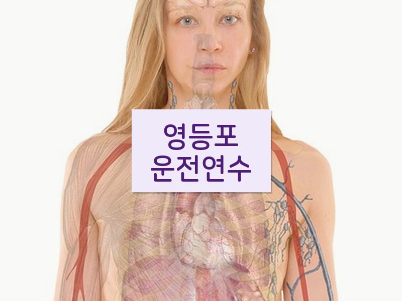 영등포운전연수 후기