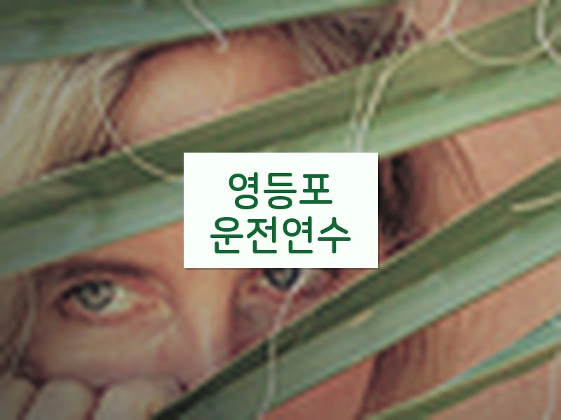 영등포운전연수 후기